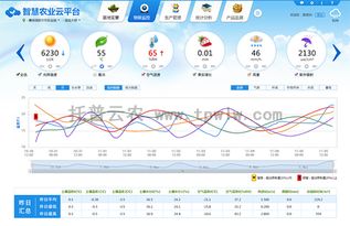 水循环在农业中的重要性：高效灌溉与水资源管理策略