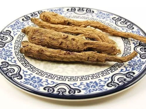 红景天：高原之宝