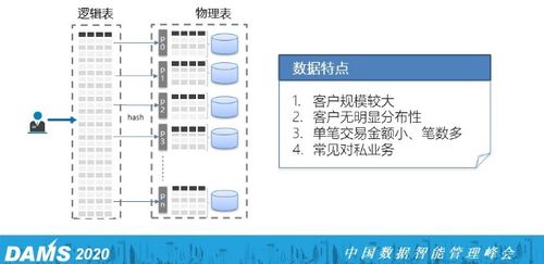 澳洲杉主干变粗拆分，前半嵌入“核心关键词”