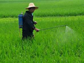 除草剂的使用量，那是个技术活儿！