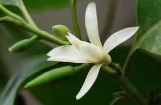 注意事项大揭秘