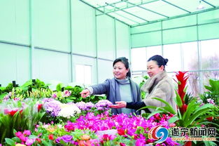 遂宁花卉市场几点开门？营业时间和注意事项有哪些