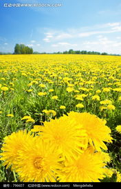 第三步：突出画面重点