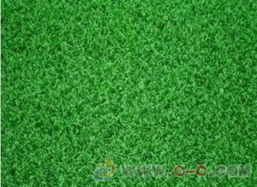 屋顶草坪枯黄怎么办？三招教你选草种！