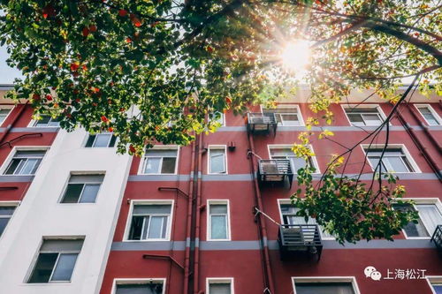 律法与规划的红线