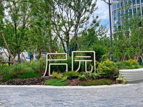 药用价值， 健康生活好帮手