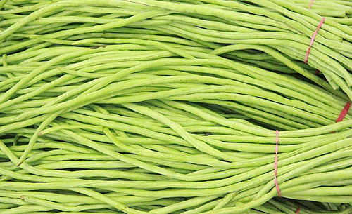 梅豆和豇豆：夏末秋初的宠儿