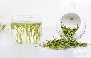 荷叶金银花菊花泡水喝，养生效果怎么样