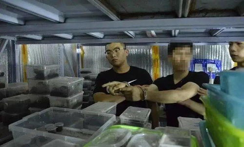 唐人神欲自主拓展终端肉品，困境中或谋收购