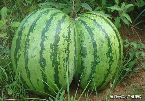 西瓜含糖量高，睡前食用易导致血糖升高