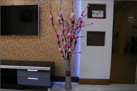 适合室内客厅和卧室养殖的花草