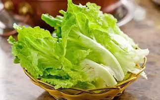 青菜：冬天的味蕾享受