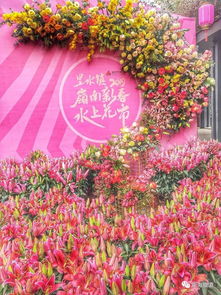 “花市必避三花，家居风水不扰心！”