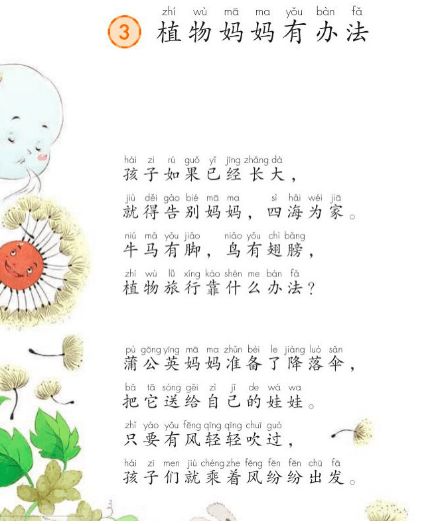 植物妈妈还有哪些奇妙方式？种子传播的秘密等你揭晓
