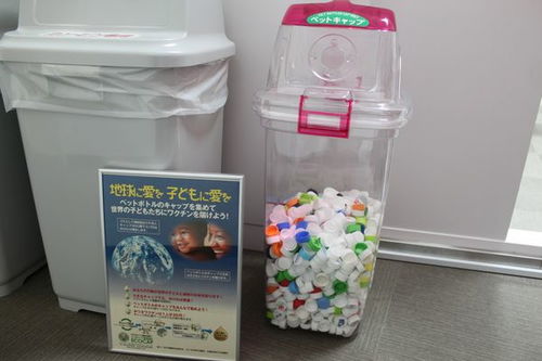 塑料瓶子：回收还是有害？