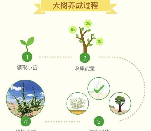 草铵膦在环境中的行为及其对动物产生的毒性有哪些具体表现？