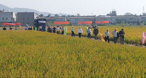 德令哈示范推广：创新秸秆腐熟剂技术，助力花卉产业绿色发展