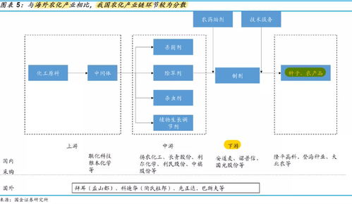 一、 定义的小困惑