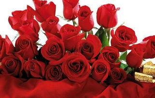 经济价值：金钱的象征，产业的支柱