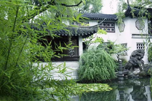 绿化工程养护管理：确保成活率