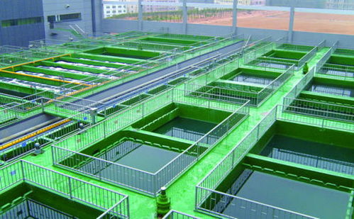 优化农业养殖场排污系统，实现粪便污水高效处理
