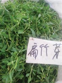 竹子根具有清热解毒、利尿消肿等功效