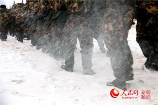 马蔺：逆境中的生命力