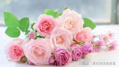 21朵玫瑰：爱情的绚烂与深情，用21朵诠释爱的语言