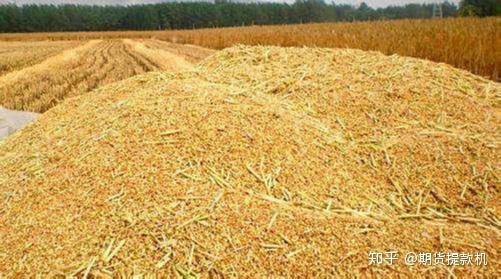 菜粕和豆粕种西瓜，哪个更适合做肥料效果更好？