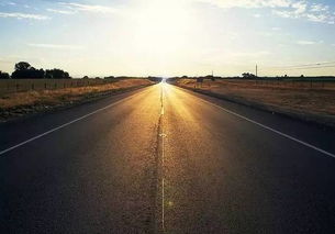 生存之道， 繁衍后代