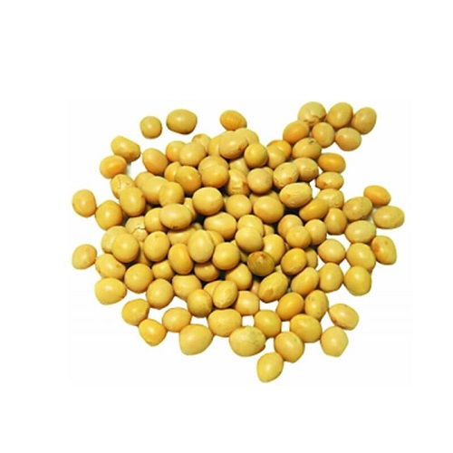 黄豆遭虫害，怎么办？我来告诉你！