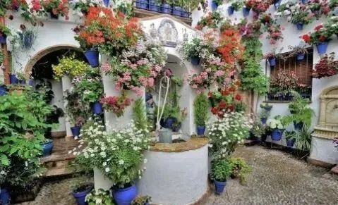 植物等级，收益不同