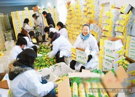 非洲农村加工厂如何通过十个项目实现致富？
