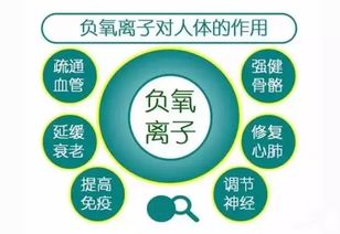 运动与负氧离子的双重作用