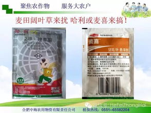 小麦田杂草的烦恼， 仲丁灵来帮忙