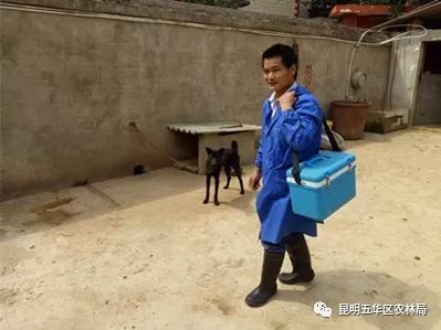 养殖场疫病监测与防控指导