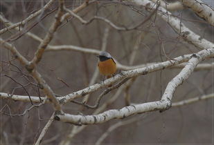 编织技巧，让草帽梗美观