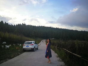 风险等级对照表