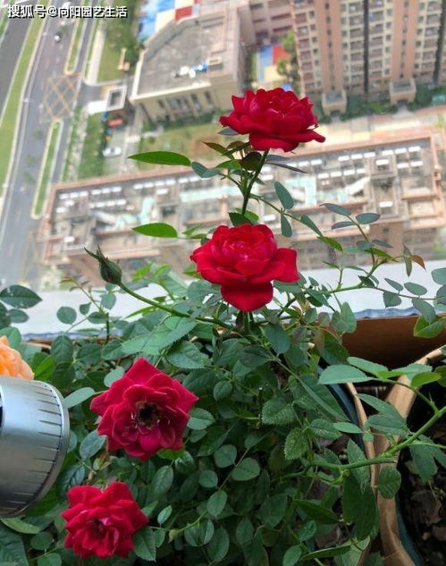 通风问题的挑战