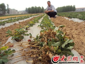 夏天喷药，啥时候最合适？