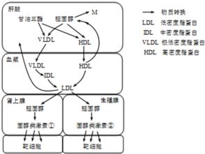 甲维盐的性质和作用机理