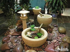 自建屋顶花园：实现私家庭院梦想