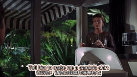 月季花的魅力：斯卡堡集市月季的花期与种植区域