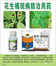 花生褐斑病：一场严重的农业挑战