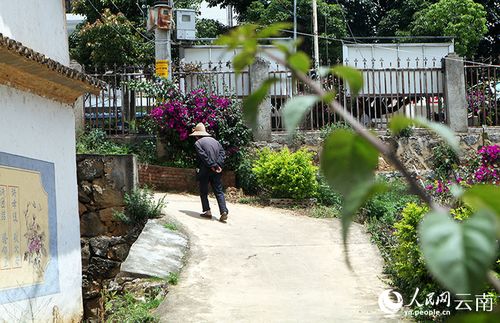 户外自然条件下 湖北气候，种植植物花卉多