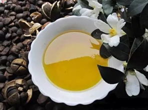 山茶油凉拌菜新选择：天然健康，美味不油腻！