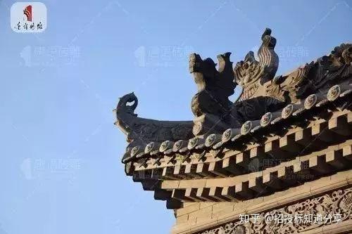 俺家影壁墙前的花儿们
