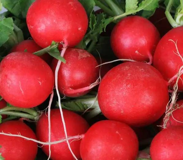 冬天里的萝卜香