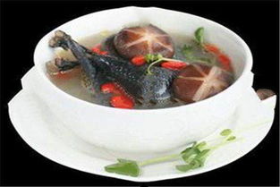 孕妇吃乌鸡炖枸杞，营养滋补