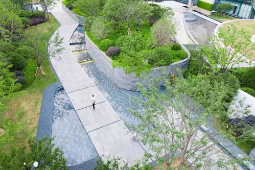 二、 本土植物，融入城市文化